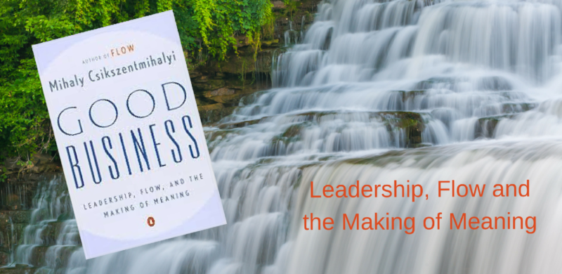 Good Business: Leadership, Flow and the Making of Meaning by Mihaly ...